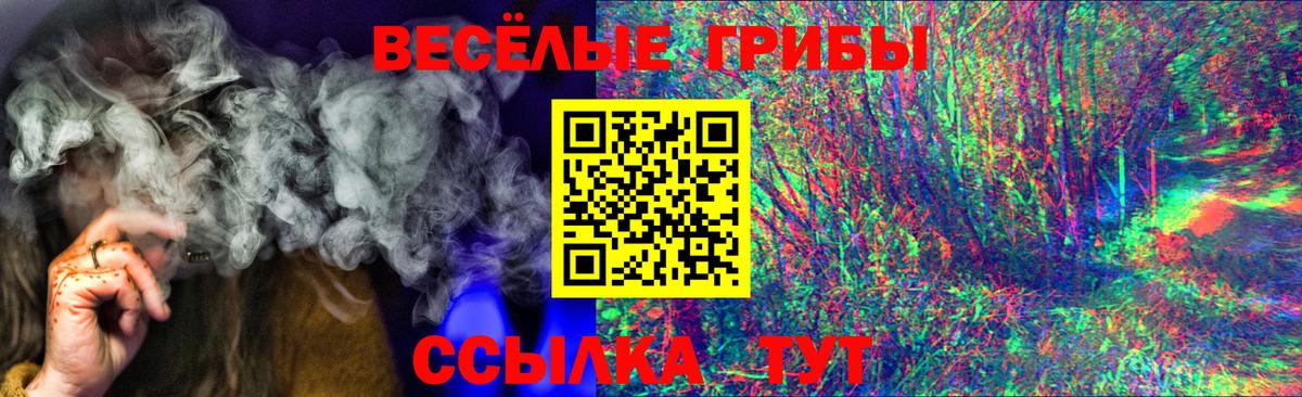 Псилоцибиновые грибы Cubensis  Псилоцибиновые грибы прущие грибы  Вход с VPN  Чехов 