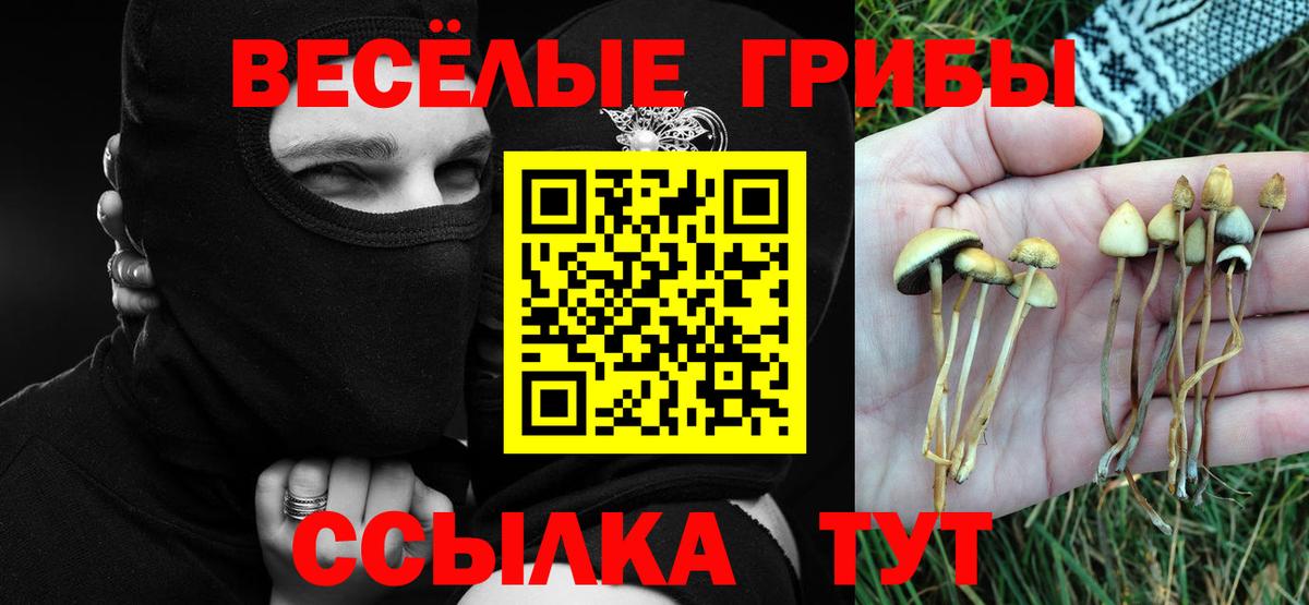 Галлюциногенные грибы Psilocybe Чехов
